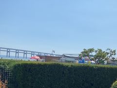 -黑石礁公园
