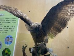 -陕西自然博物馆