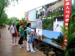 -东寨港红树林旅游区