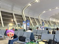 -合肥新桥国际机场-航站楼