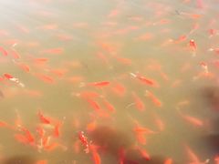 -前关湿地公园