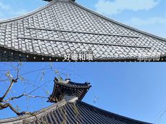 -城崎温泉 外七汤