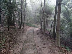 -缙云山景区