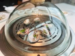 -青蓬蒸汽海鲜·深圳老字号·团建聚会(壹方城店)