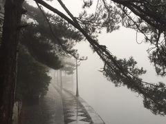 -庐山风景区花径公园
