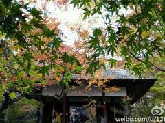 -常寂光寺