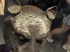 -广西壮族自治区博物馆