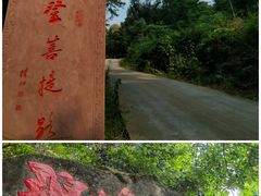 -中国大熊猫保护研究中心雅安碧峰峡基地