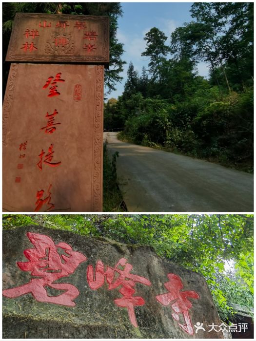 中国大熊猫保护研究中心雅安碧峰峡基地图片
