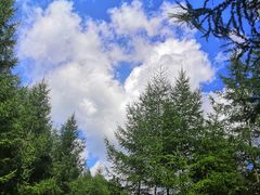 -武陵山森林公园