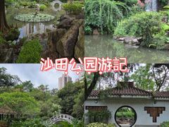 -沙田公园