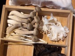 -巴奴毛肚火锅(广益哥伦布店)