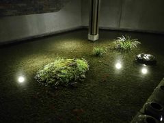 -几荷·恰似故人来(秀水广场店)