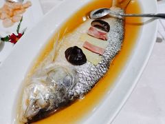 酒香鲥鱼-顺风海鲜港(长寿路店)