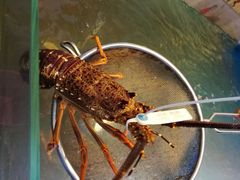 -同乐酒楼(皇后镇店)