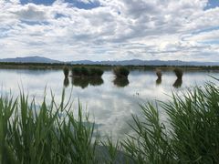 -野鸭湖国家湿地公园