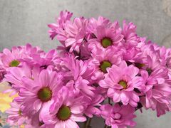 -循礼门鲜花花市(武汉循礼门店)