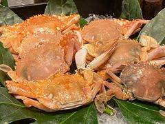 -火舞泰·泰式海鲜火锅餐厅(世纪城店)