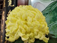 -汇龙潭