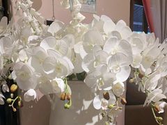 -翡翠鸟精品泰国菜(北辰财富中心店)