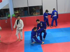 999358196662f5670d29-金翼跆拳道巴西柔术拳击格斗学院