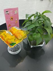 -索菲医疗整形美容