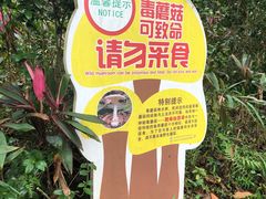 -云溪植物园