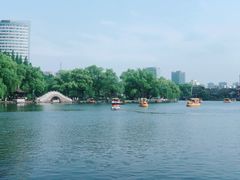 -月湖公园
