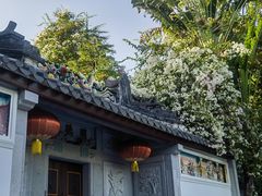 -深圳国际园林花卉博览园