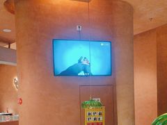 -喃喃椰·糟粕醋·椰子鸡火锅(七堡花园店)