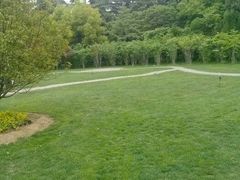 android_upload_pic-紫荆山公园