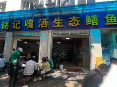 -铭记嘎洒生态鳝鱼(迎春街店)
