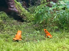 -暹罗海洋世界