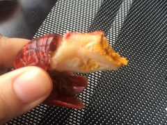 -AdD全日制餐厅(中谷花园酒店)