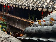 -普洱茶府(博乐广场店)