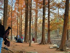 -白水寺森林公园