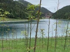 -武陵山森林公园