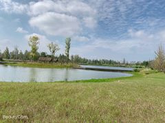 -白鹭湾湿地公园