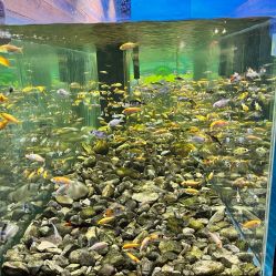 -Zoolung Zoolung动物主题公园(海信广场店)