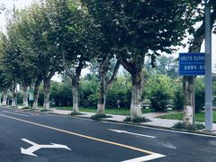 -四川大学(望江校区)