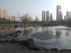 -前关湿地公园