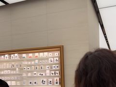-Apple零售店(苏州店)