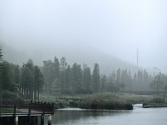 -广州市石门国家森林公园