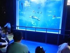 -太平洋海底世界