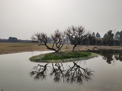 -夏河溪乡野公园