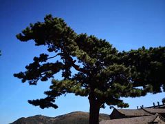 -妙峰山风景名胜区