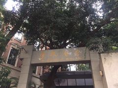 -香港大学