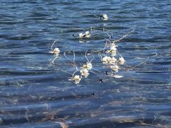 -丽江泸沽湖景区