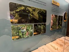 -天津自然博物馆