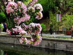 -元大都城垣遗址公园